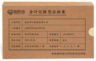 一般納稅人公司財務管理的智慧之選 深圳市計然技代理記賬與國內貿易代理服務解析